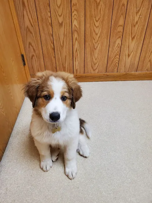 High Point Animal Hospital Picture 7