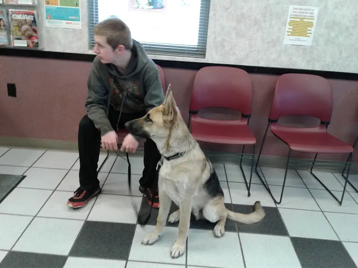 Spring Meadows Animal Hospital Picture 2