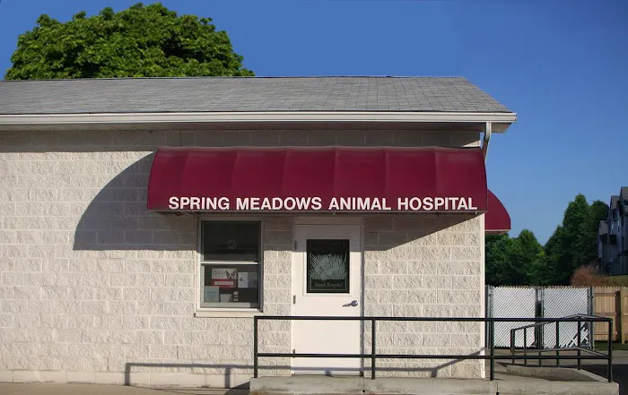 Spring Meadows Animal Hospital Picture 5