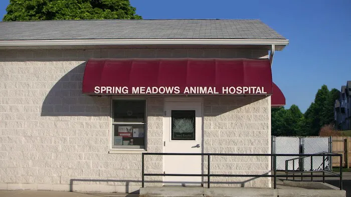 Spring Meadows Animal Hospital Picture 4