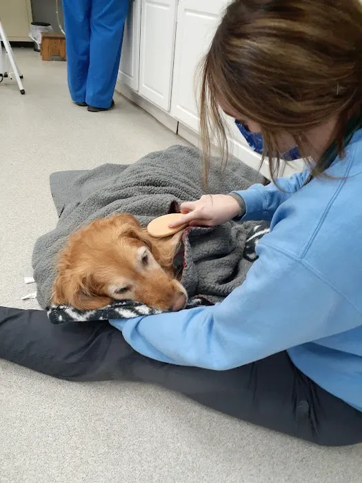 Spring Meadows Animal Hospital: Flowers Kady DVM Picture 2