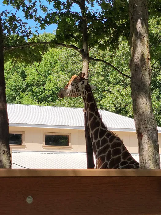 Bedford Veterinary Clinic Picture 2