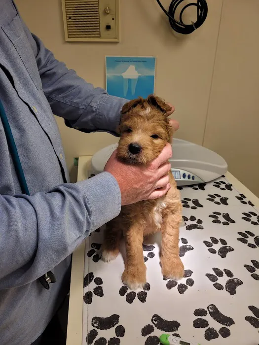 Countryside Animal Hospital: Pifer Paul DVM Picture 4