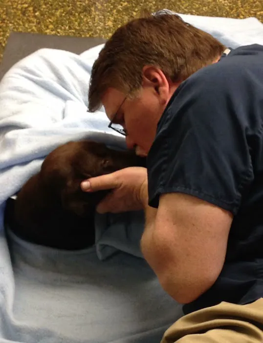 Countryside Animal Hospital Picture 5
