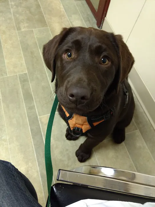 Countryside Animal Hospital Picture 3