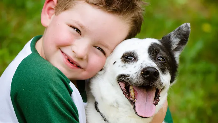 Countryside Animal Hospital Picture 7