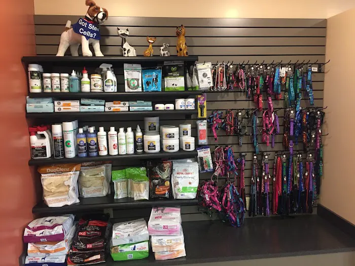 St Francis Veterinary Hospital Picture 3
