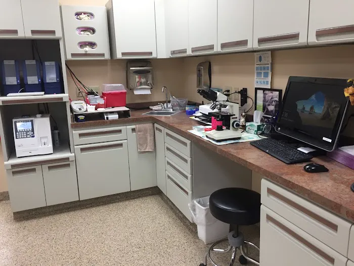 St Francis Veterinary Hospital Picture 4