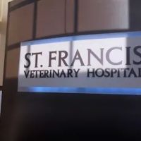 St Francis Veterinary Hospital ico