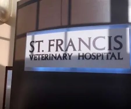 St Francis Veterinary Hospital