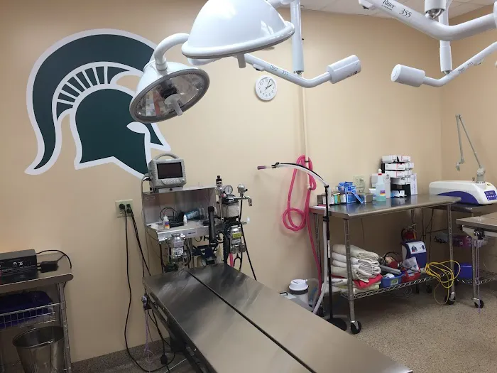 St Francis Veterinary Hospital Picture 5