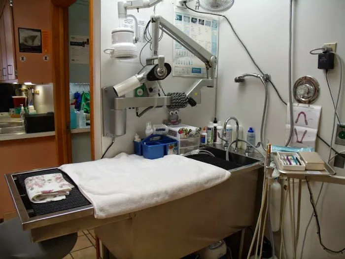 Westside Veterinary Hospital Picture 6