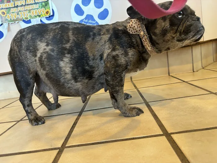 Westside Veterinary Hospital Picture 1