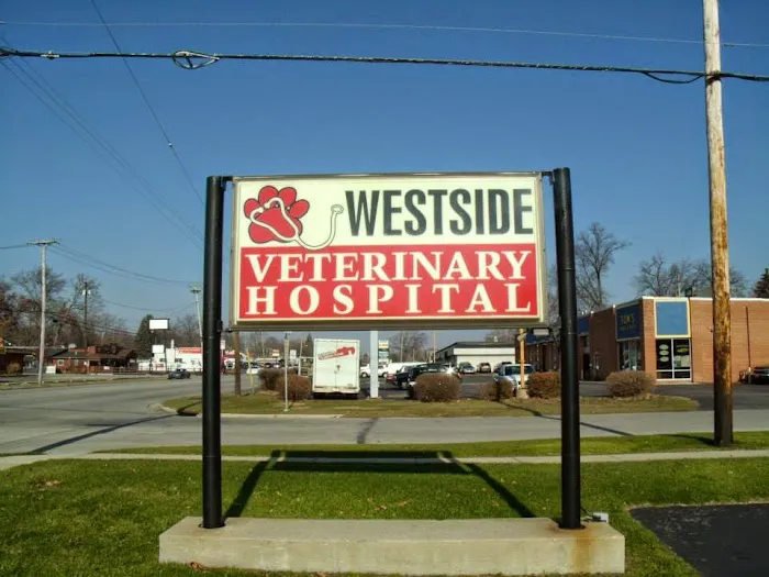 Westside Veterinary Hospital Picture 10