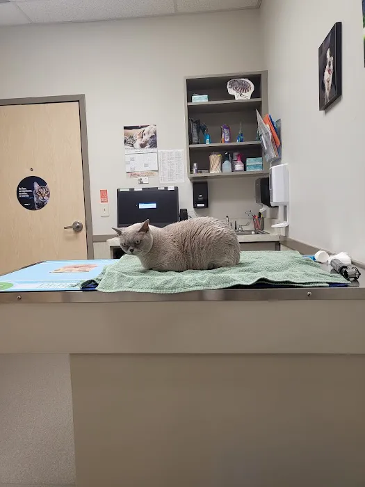 VCA Holly Farms Animal Hospital Picture 4