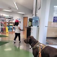 VCA SylvaniaVET Animal Hospital ico