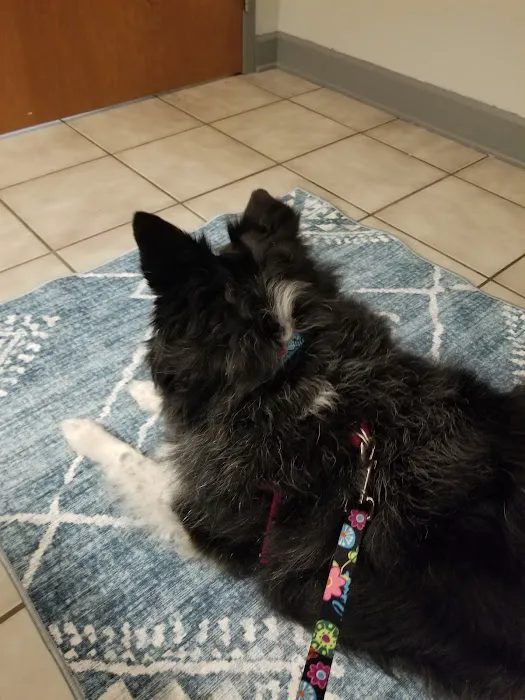 VCA SylvaniaVET Animal Hospital Picture 2