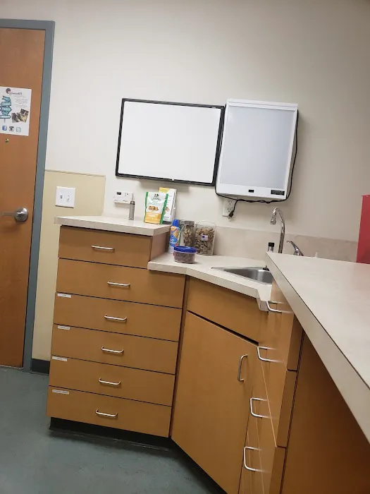 VCA SylvaniaVET Animal Hospital Picture 10