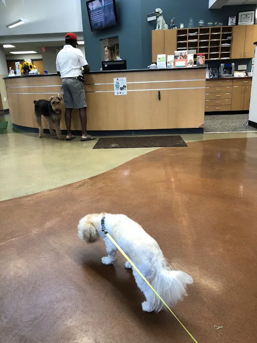 Sylvania Veterinary Hospital: Hissam Kate DVM Picture 1