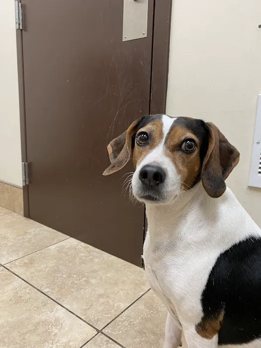 Wateree Animal Hospital Picture 10