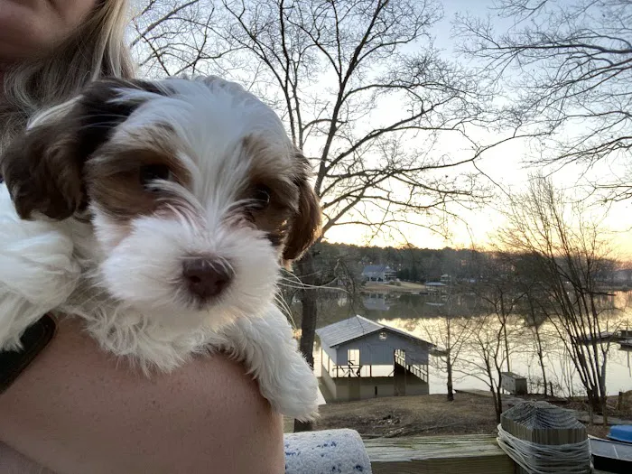 Wateree Animal Hospital Picture 7
