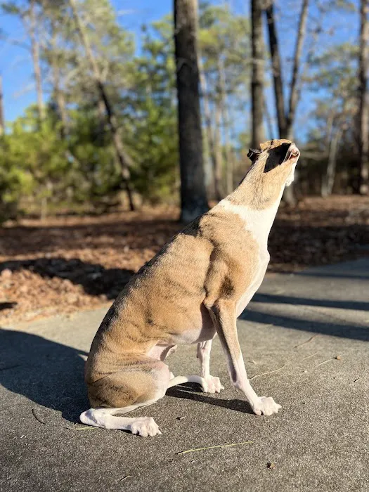 Wateree Animal Hospital Picture 9
