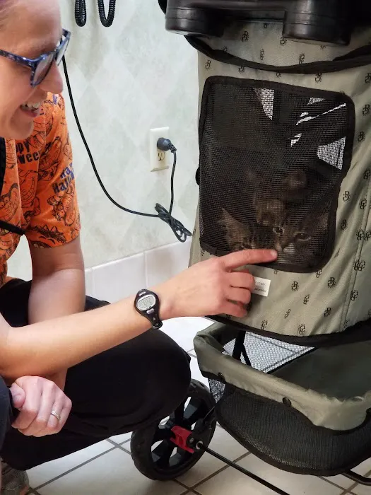 Veterinary Medicine & Surgery Picture 6