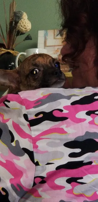 Lewis Animal Hospital Picture 2