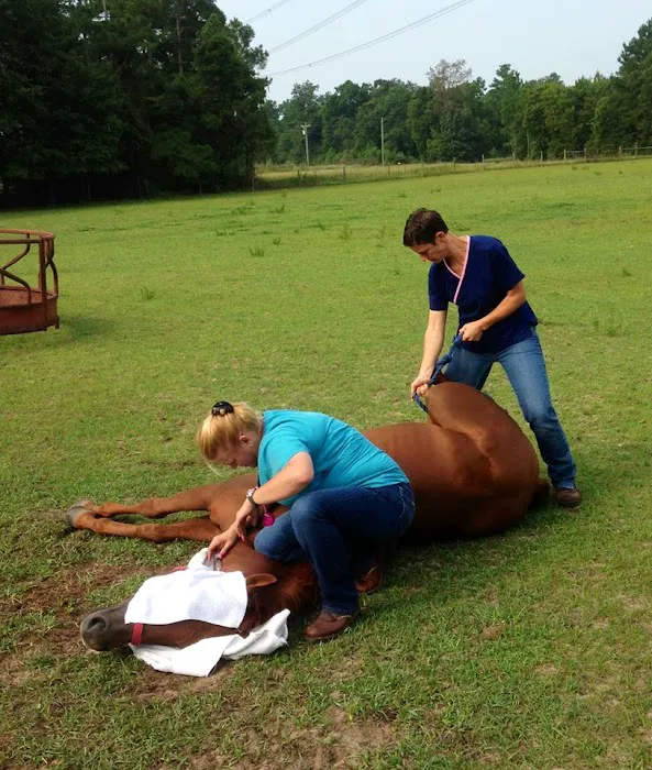 Southern Oaks Animal Hospital Picture 6