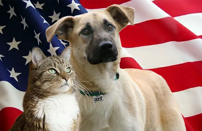 Southern Oaks Animal Hospital Picture 7