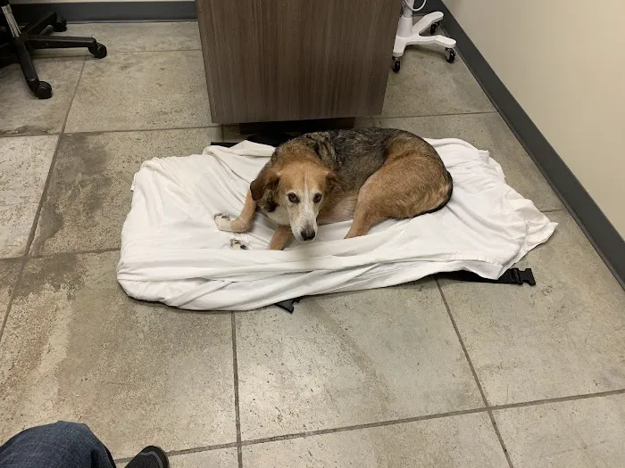 Riversong Veterinary Clinic Picture 4