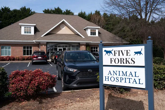 Five Forks Animal Hospital Picture 5