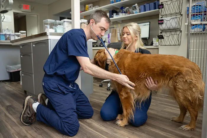 Five Forks Animal Hospital Picture 8