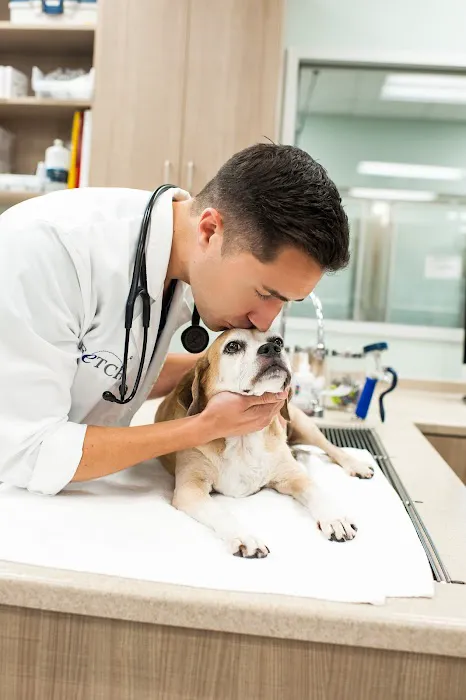 Fetch Specialty & Emergency Veterinary Centers - Greenville, SC Picture 6