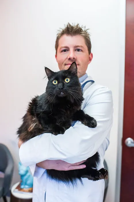 Fetch Specialty & Emergency Veterinary Centers - Greenville, SC Picture 7