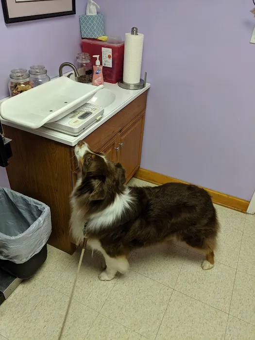 Steven R. Shrum, DVM: Holly Tree Animal Hospital Picture 1