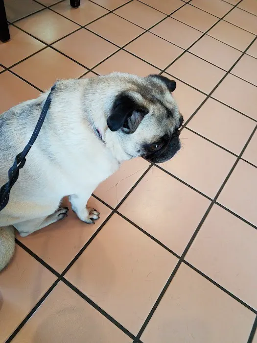 Holly Tree Animal Hospital Picture 8