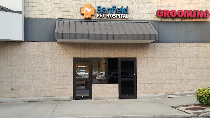Banfield Pet Hospital Picture 7