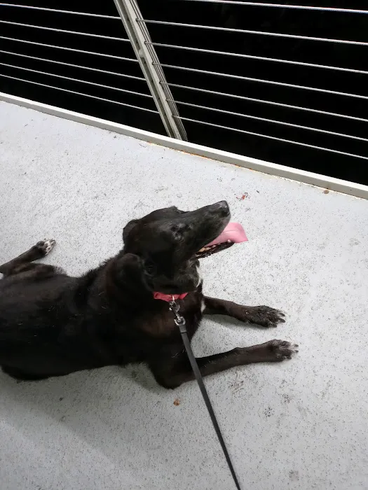 Banfield Pet Hospital Picture 5