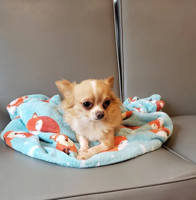 Frazier Animal Hospital Picture 8