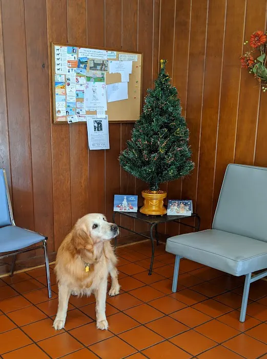 Frazier Animal Hospital Picture 10