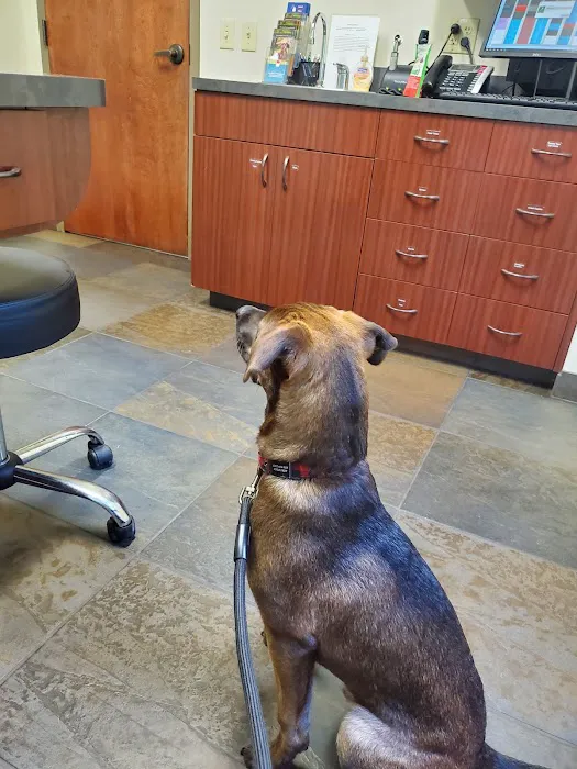 Cleveland Park Animal Hospital Picture 10