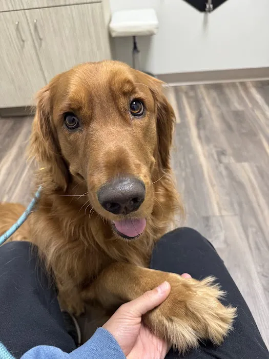 Augusta Road Animal Hospital Picture 2