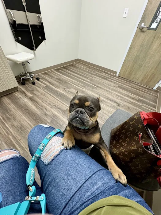 Augusta Road Animal Hospital Picture 1