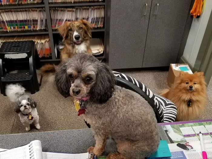 Pleasantburg Veterinary Clinic Picture 9
