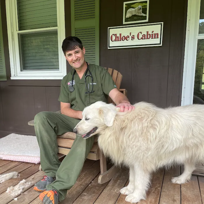 Smyth County Animal Hospital Picture 10