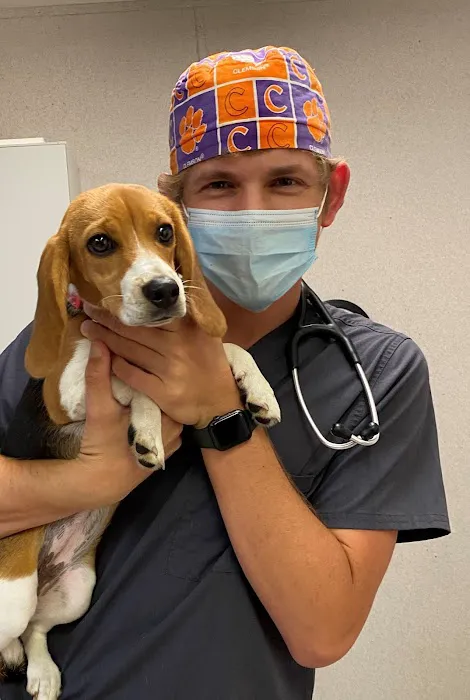 Spay Today, Inc. Picture 1
