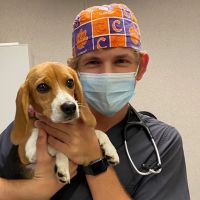 Spay Today, Inc. ico