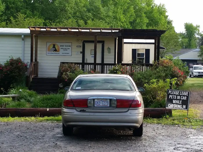 Spay Today, Inc. Picture 7