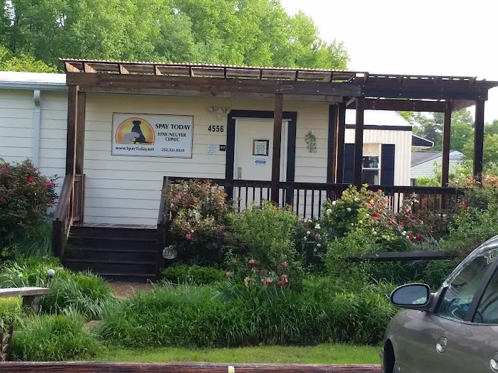 Spay Today, Inc. Picture 6
